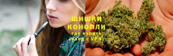 дмт Михайлов