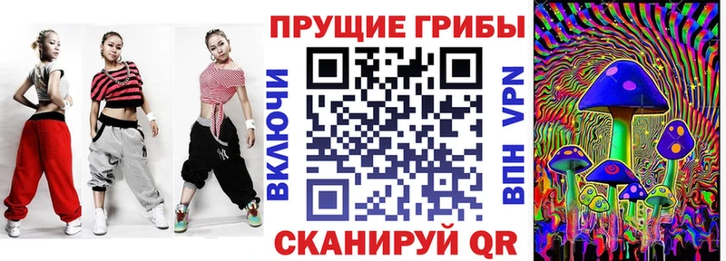 Галлюциногенные грибы Psilocybine cubensis  где можно купить наркотик  kraken ONION  Новошахтинск 
