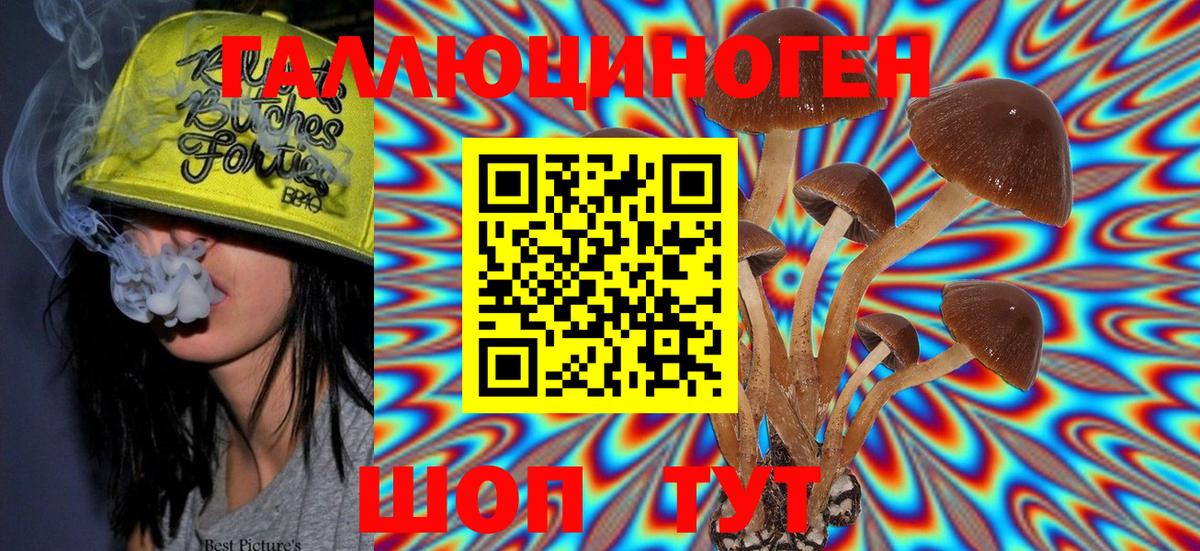 Новошахтинск  Галлюциногенные грибы MAGIC MUSHROOMS  Вход с VPN 